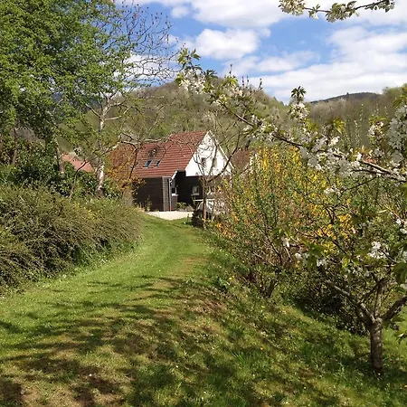 Bellevue Vakantiehuis *