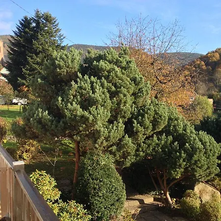 Bellevue 別荘 Breitenbach