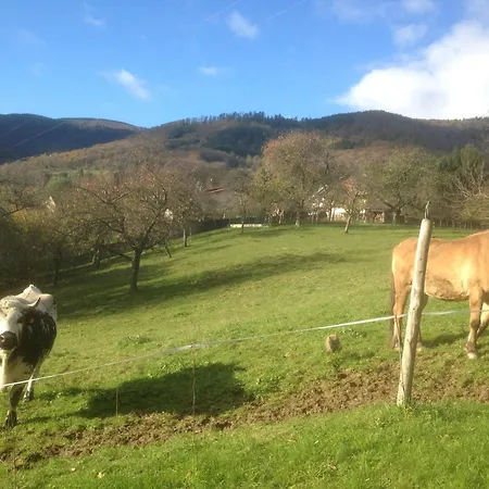 Bellevue Vakantiehuis Breitenbach